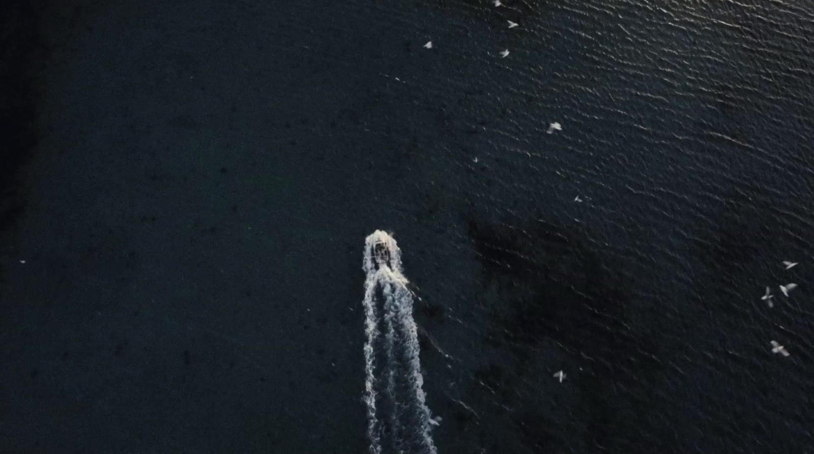 an aerial view of a boat in the water