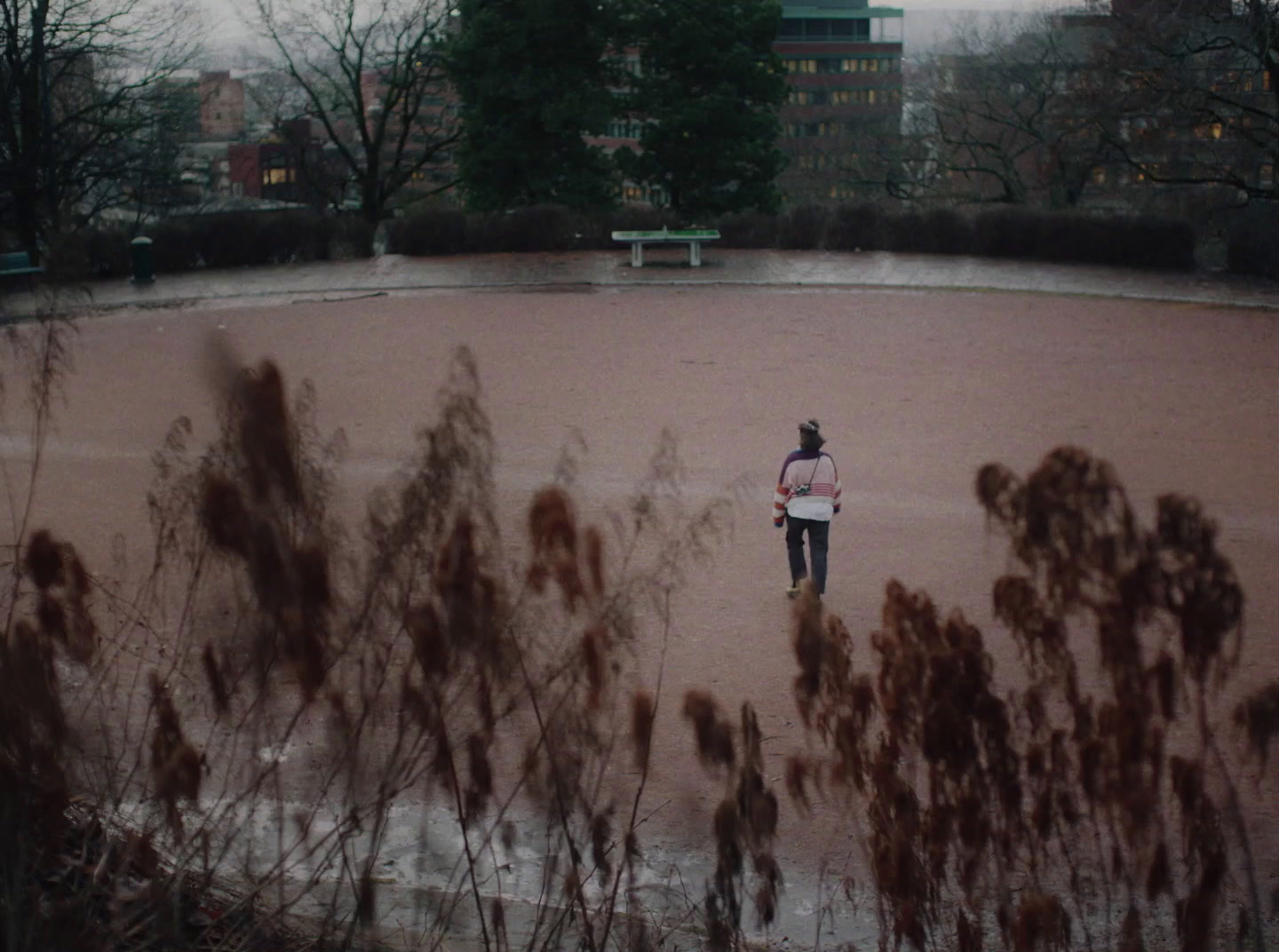 a person standing in a field with a frisbee