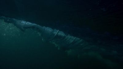 a large white shark swimming in the ocean