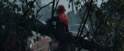 a man in a red jacket is standing on a tree branch