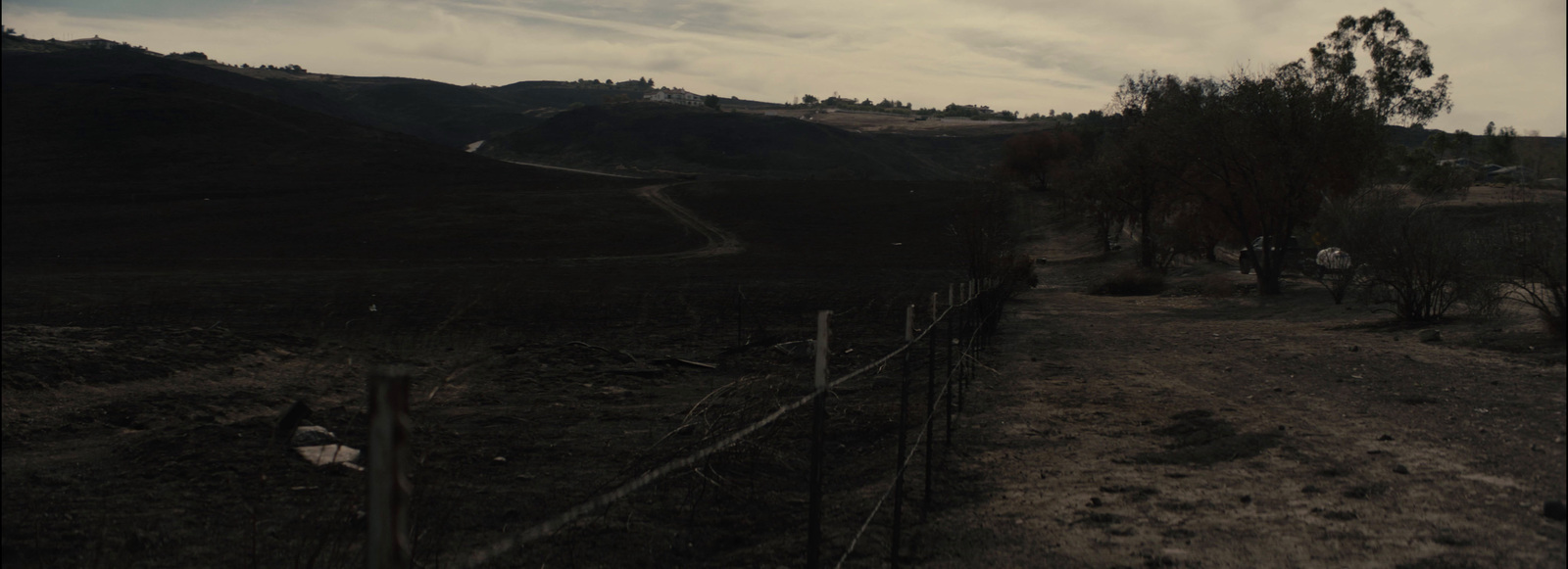 a dirt road in the middle of a field