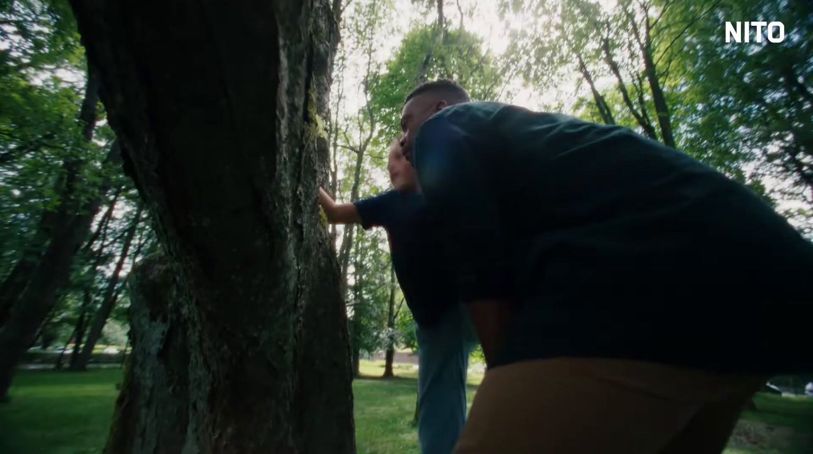 a man reaching up to a tree in a park