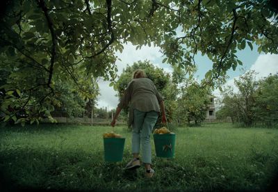 a woman carrying two buckets of apples in a field