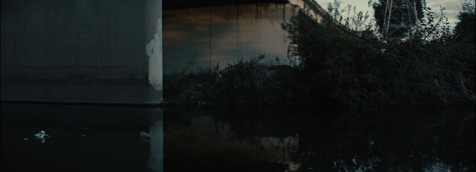 a bird is sitting in the water under a bridge