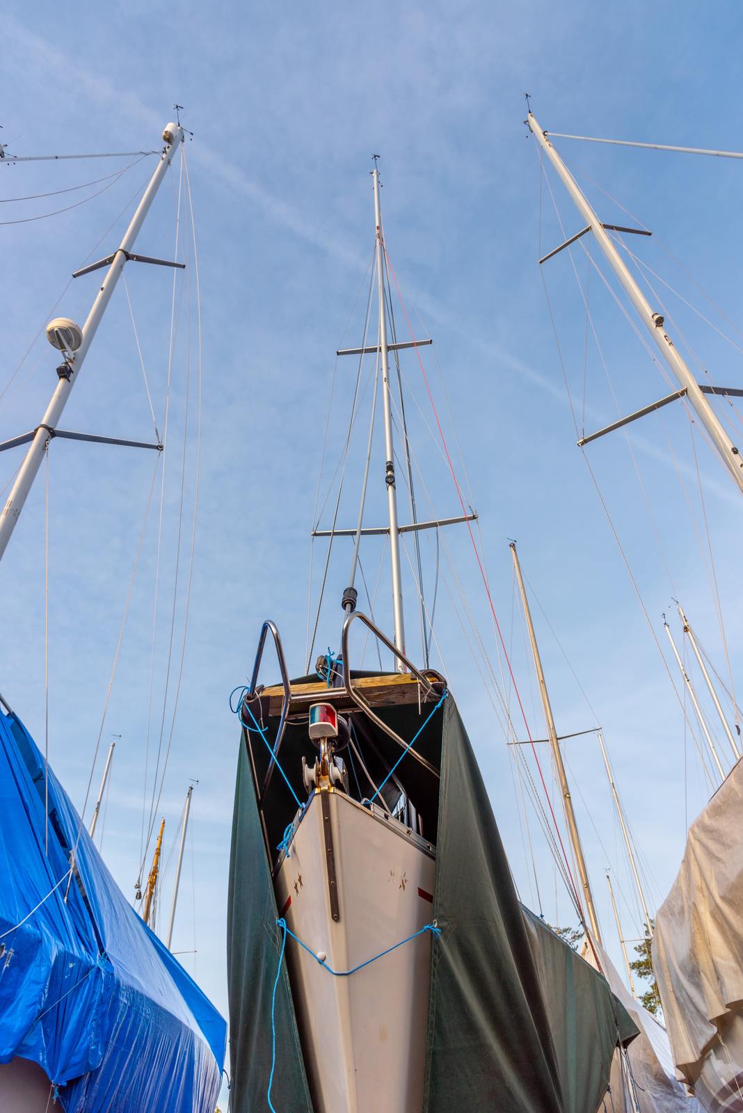 a blue tarp covering a boat