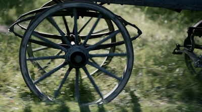 a close up of a horse drawn carriage