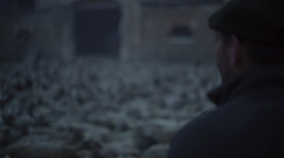 a man standing in front of a flock of birds