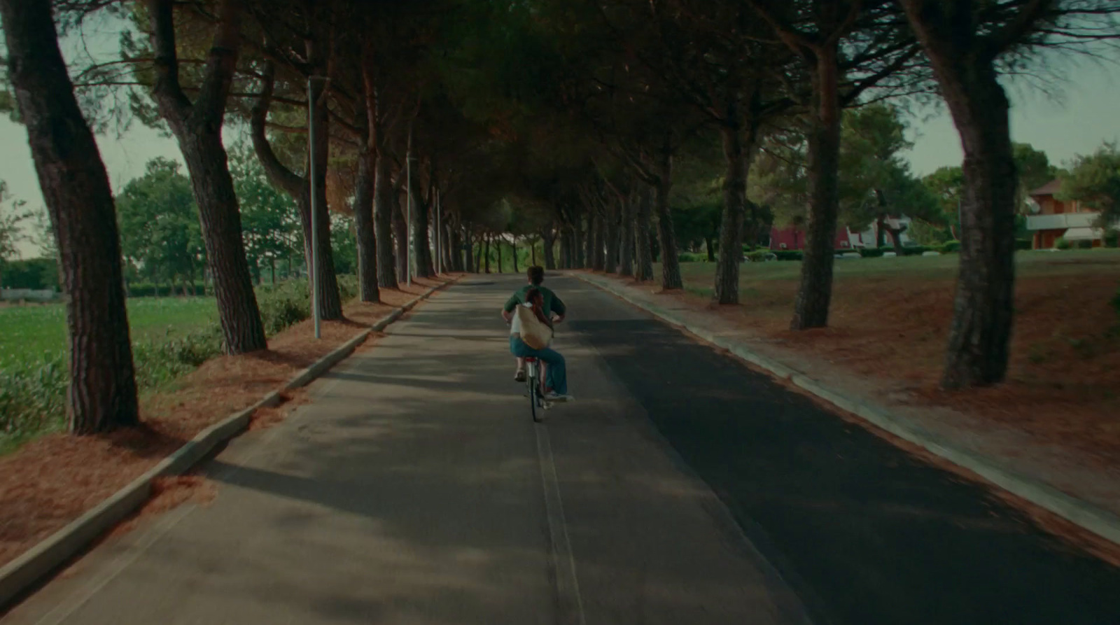 a person riding a bike down a tree lined street