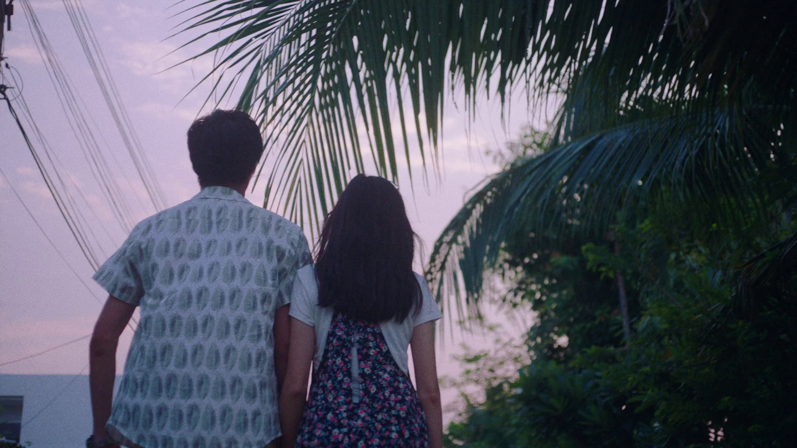 a man and a woman standing next to each other under a palm tree