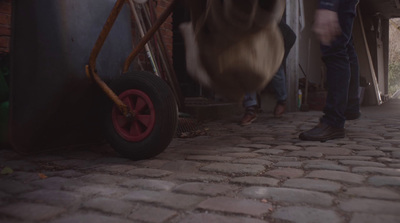 a man pushing a wheelbarrow down a cobblestone street