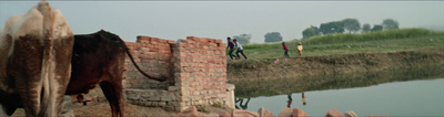 a cow standing next to a brick wall near a body of water