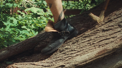 a person standing on top of a tree branch