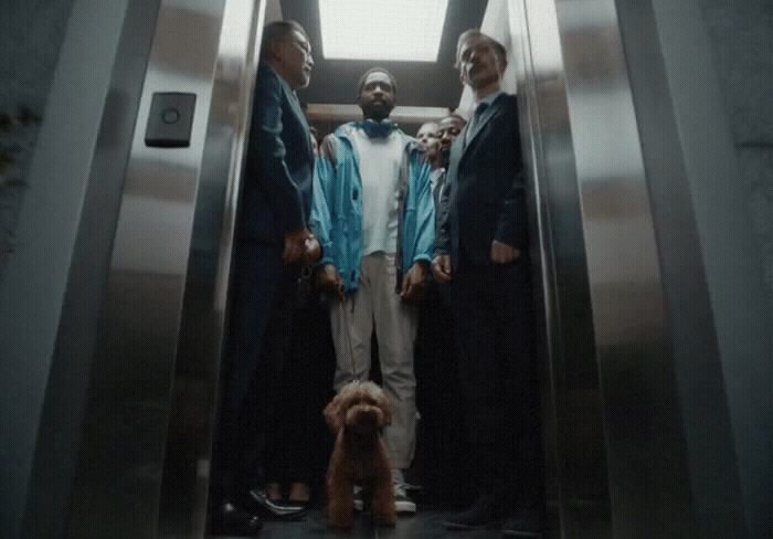 a group of people standing on an escalator with a dog