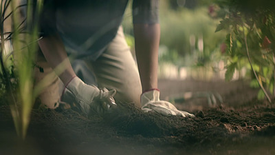 a person digging in the dirt with a pair of shoes