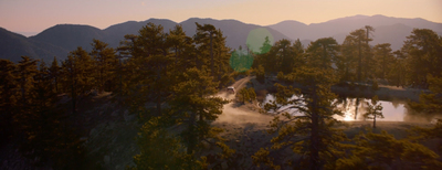 an aerial view of a lake surrounded by trees