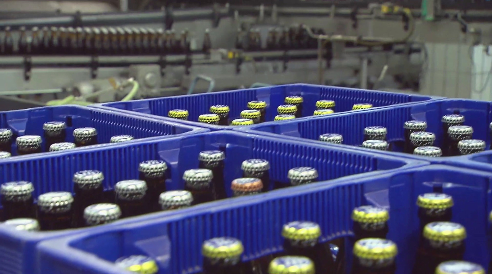 a group of blue containers filled with lots of bottles