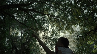 a young girl reaching up into a tree