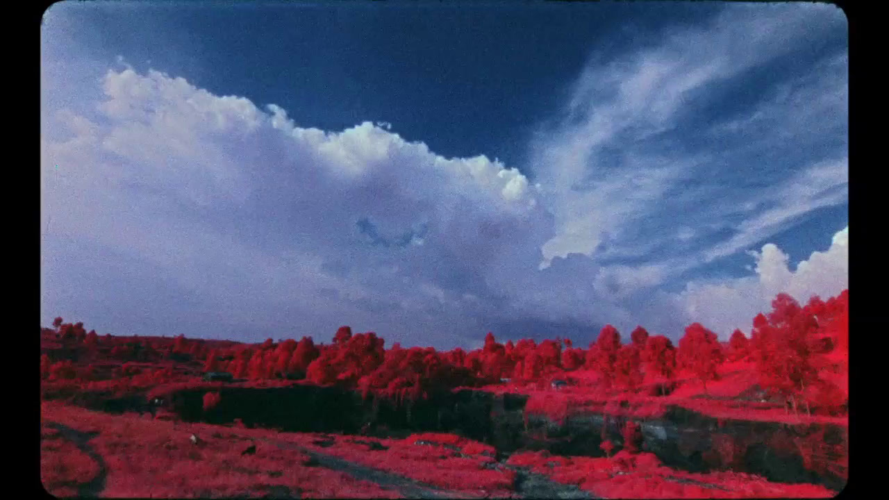 a red and blue sky with clouds and trees