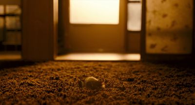 a small animal sitting on a carpet in a room