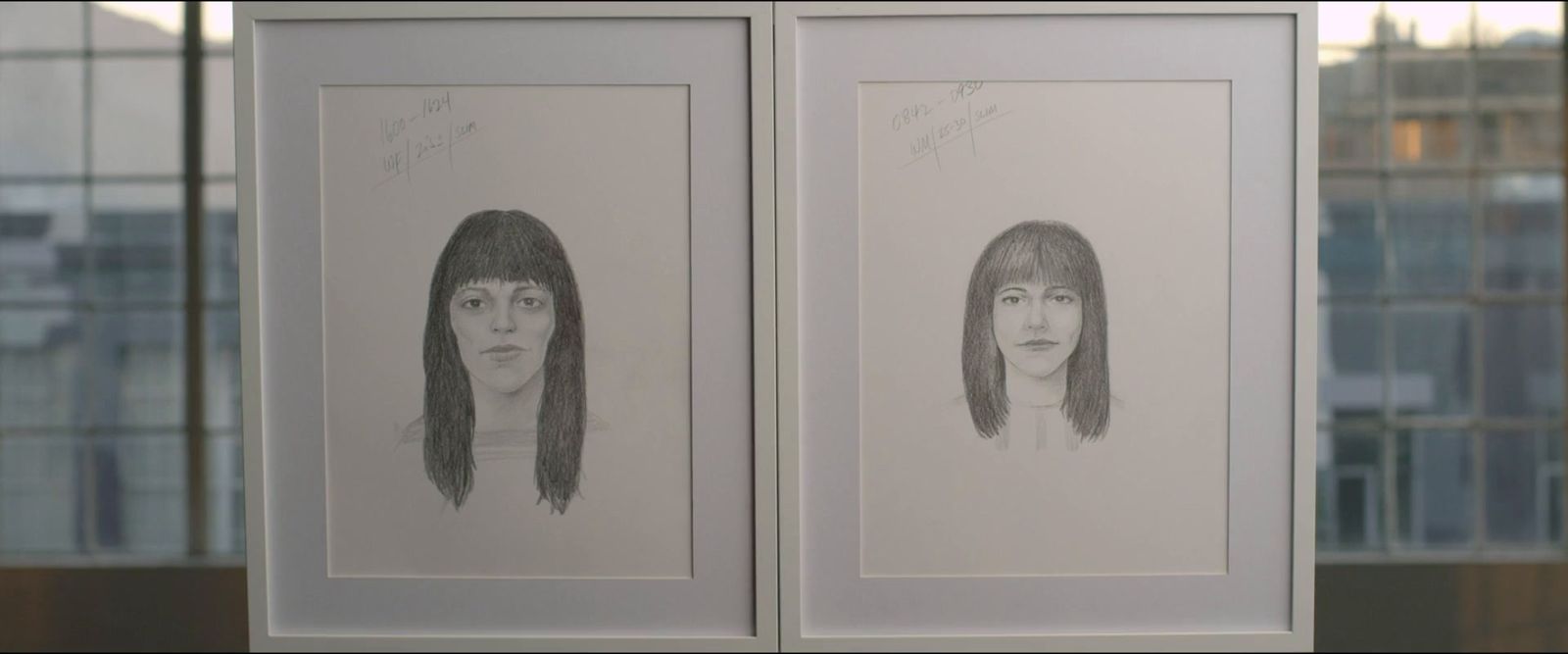 two framed pictures of women with long hair