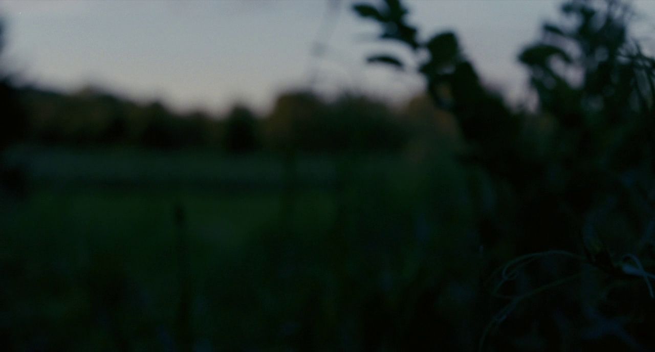 a blurry photo of a field with trees in the background