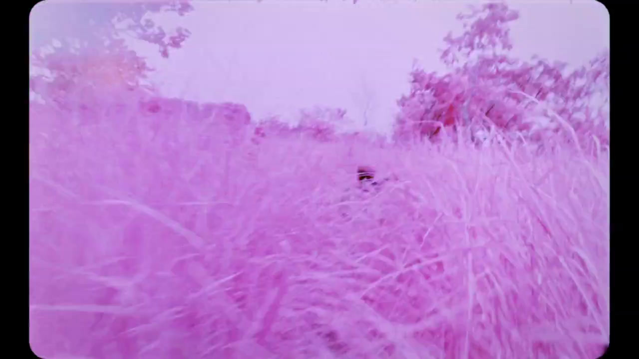 a blurry photo of a field with trees in the background