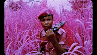 a young boy holding a gun in a field of pink grass