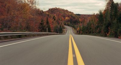 a view of a road in the middle of a forest