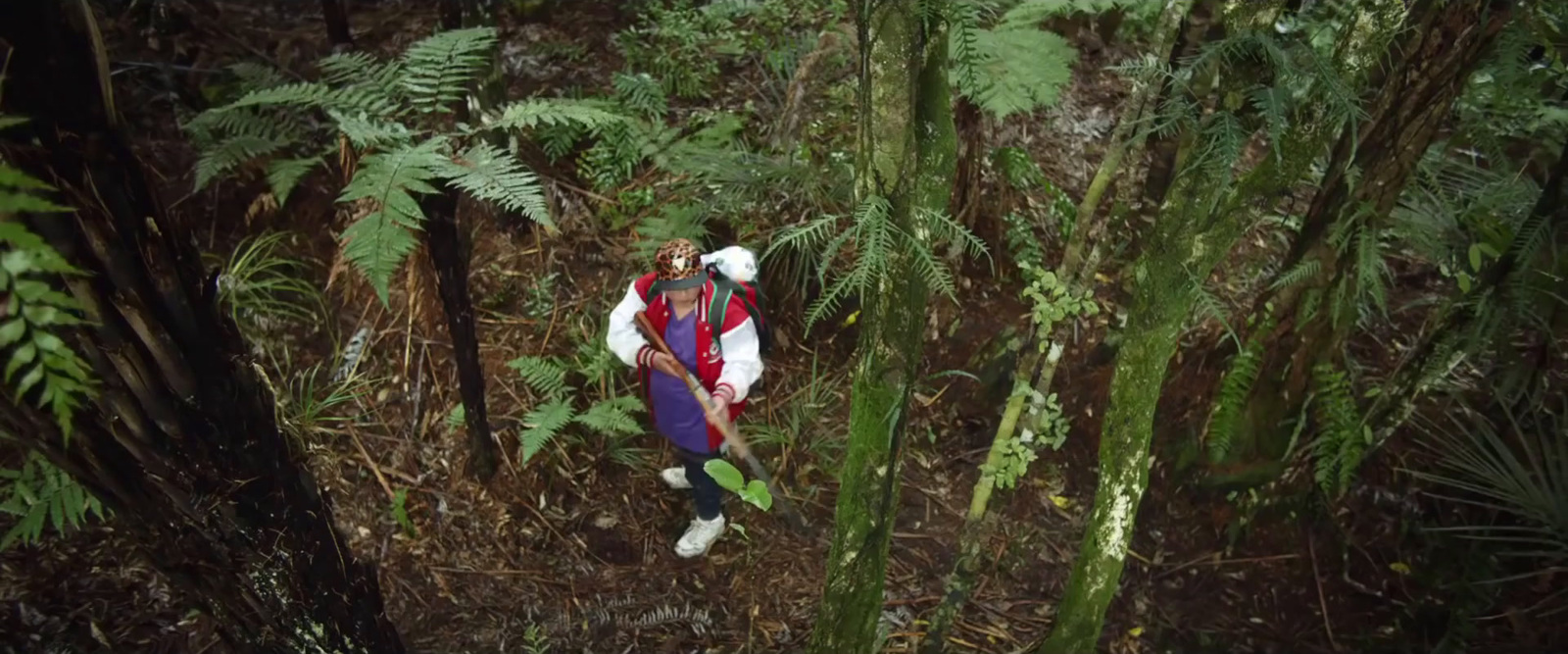 a man walking through a lush green forest