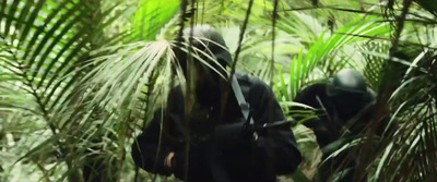 a blurry image of two gorillas in the jungle