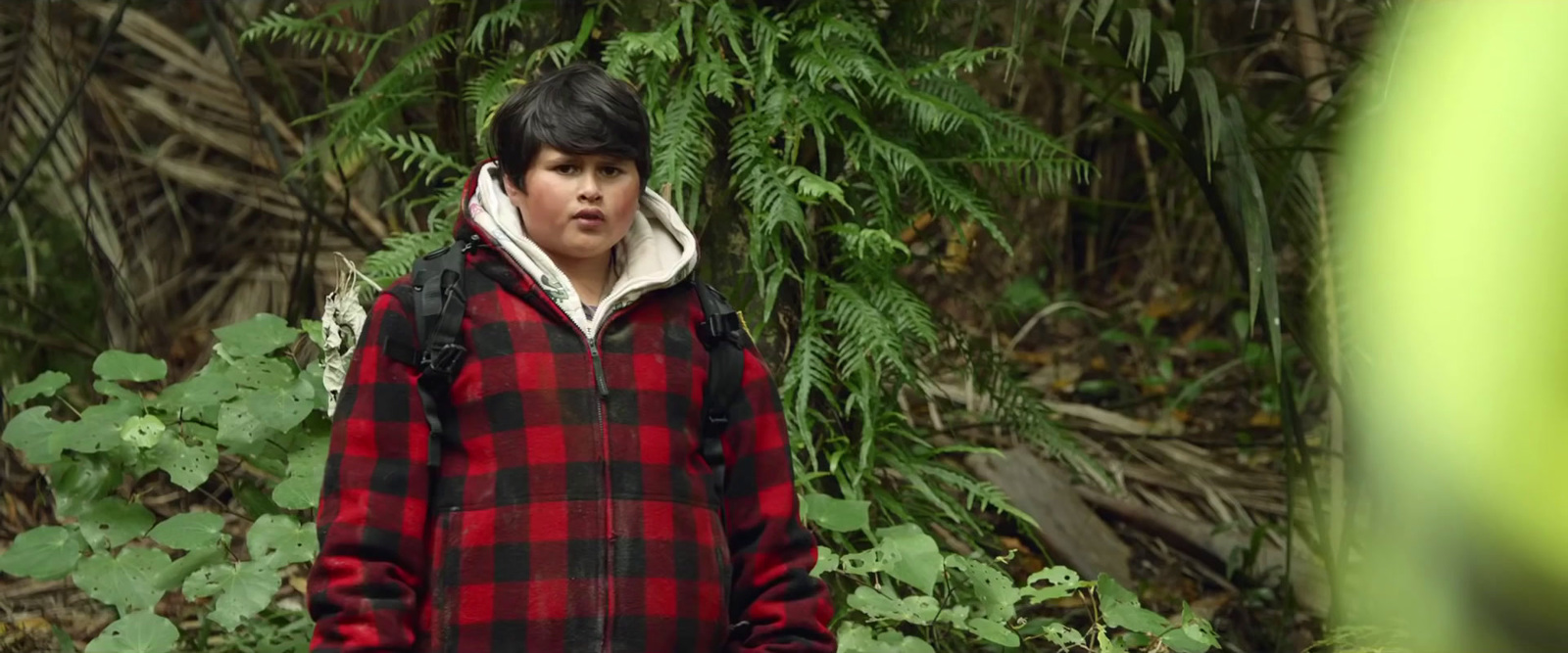 a boy in a red and black jacket standing in a forest