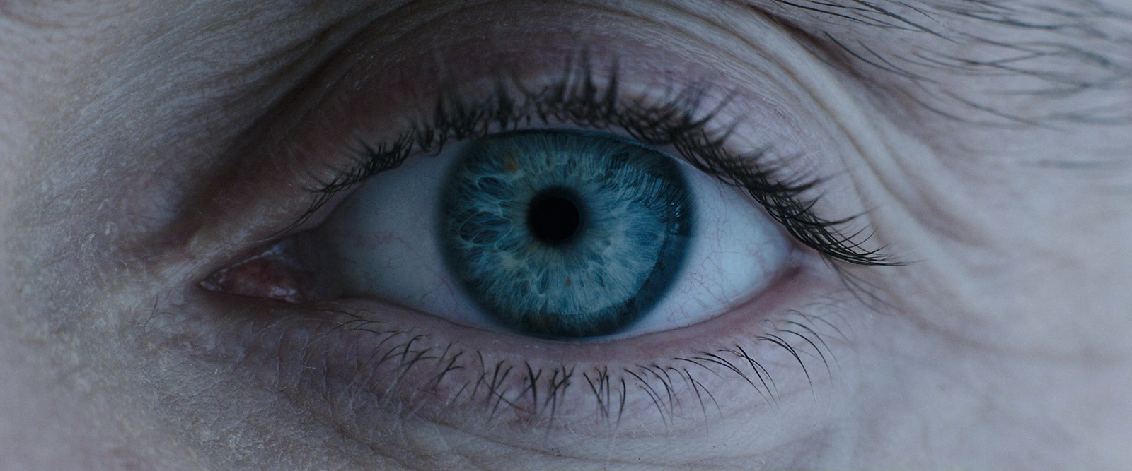 a close up of a person's blue eye