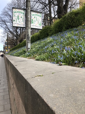 a street sign on the side of a road