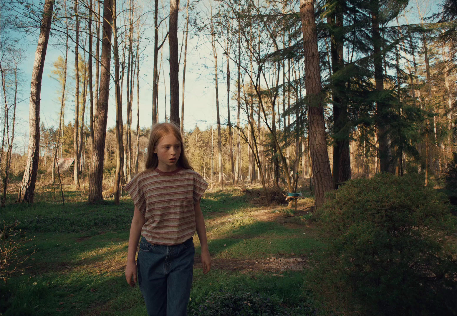 a young girl walking through a forest with tall trees