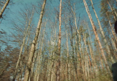 a man riding a skateboard through a forest filled with tall trees