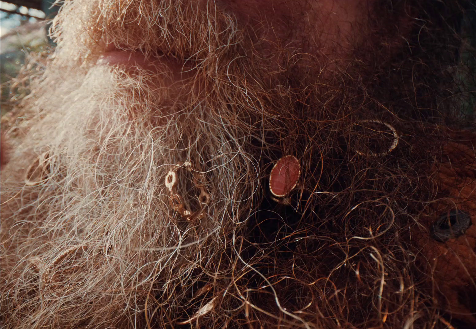 a close up of a man with a long beard