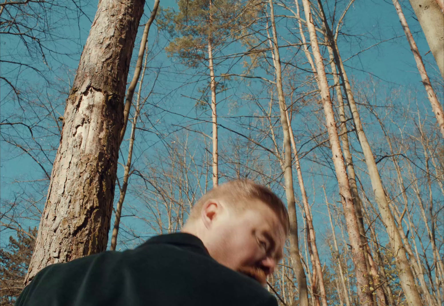 a man standing next to a tall tree in a forest