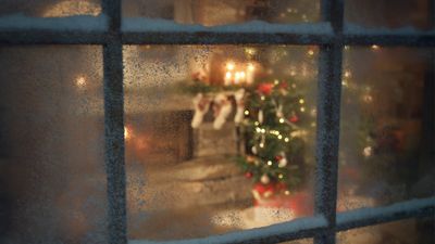 a view of a christmas tree through a window