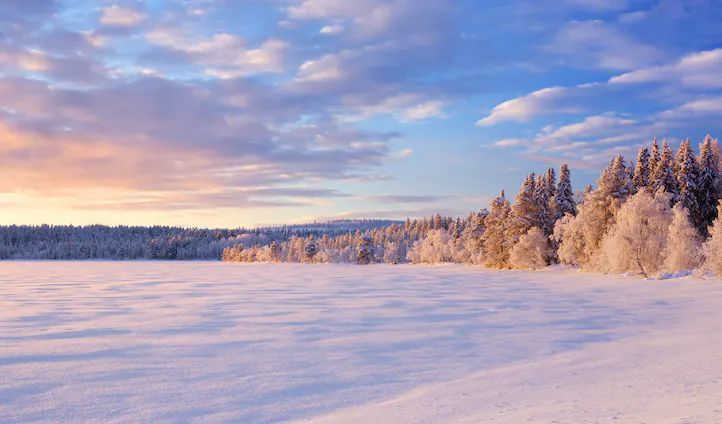 a snow covered field with trees in the background