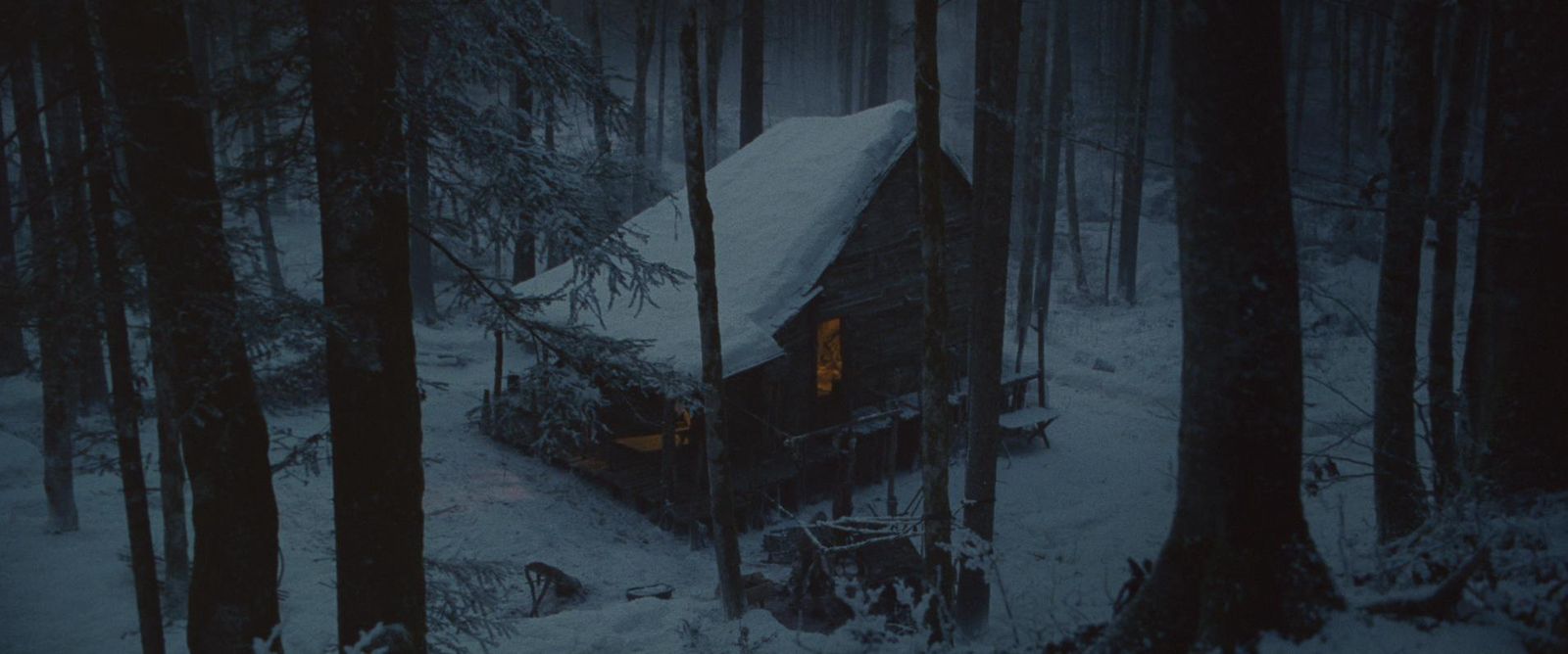 a cabin in the middle of a snowy forest