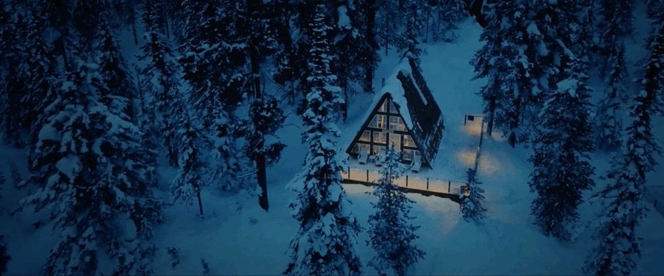 a cabin in the middle of a snowy forest