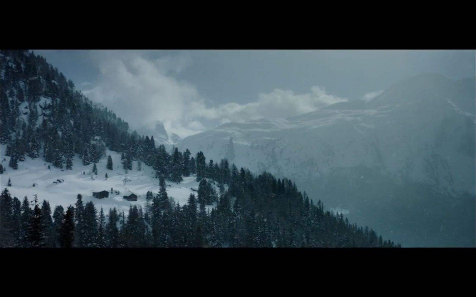 a mountain covered in snow and trees under a cloudy sky