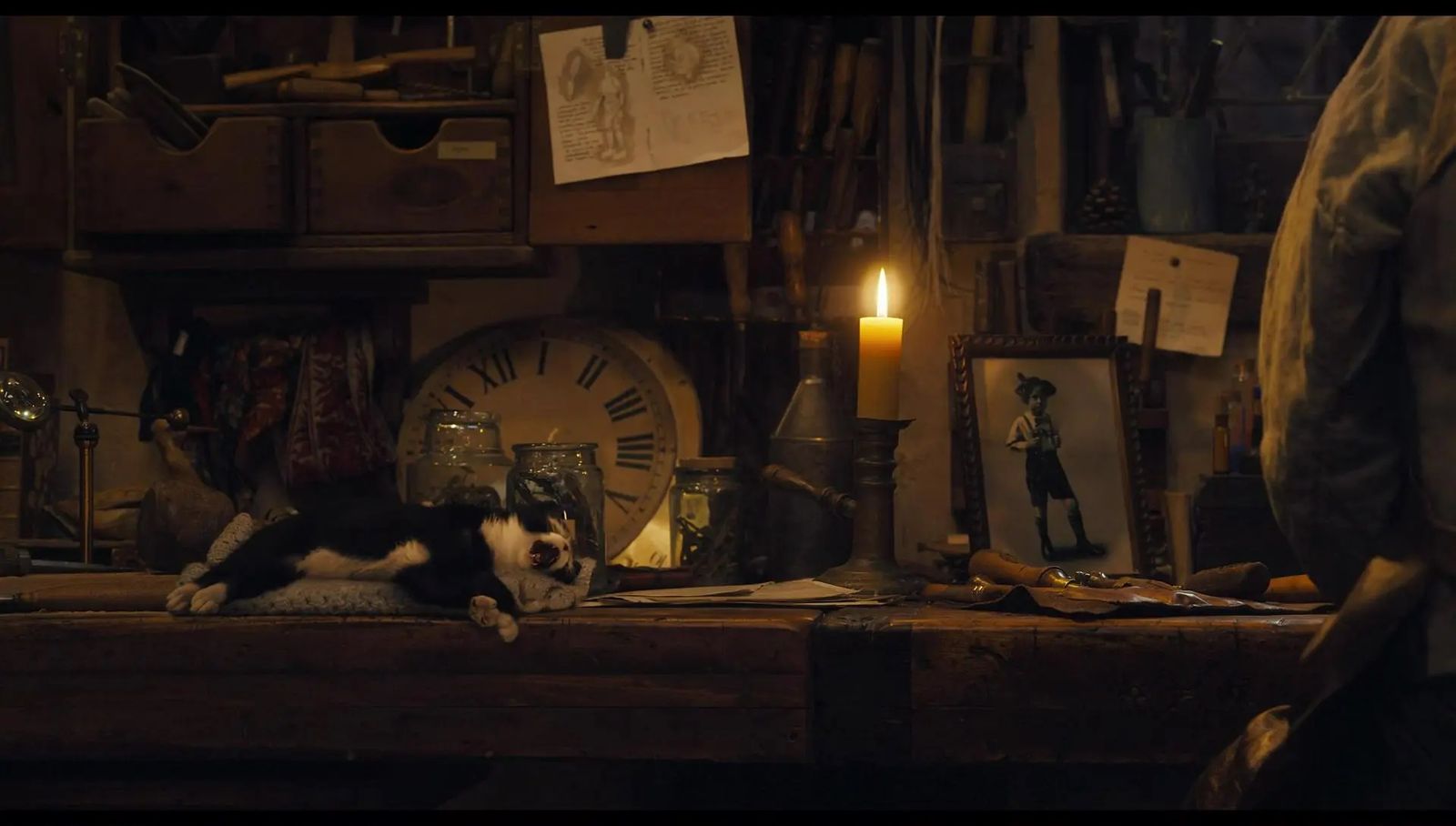 a cat laying on top of a table next to a clock