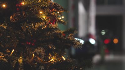 a close up of a christmas tree with lights