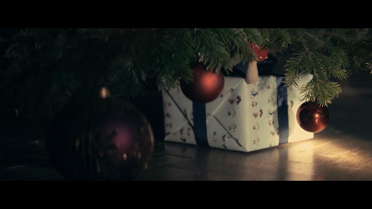 a christmas tree with ornaments hanging from it