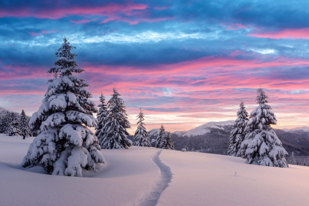 a snow covered field with trees and a sunset in the background