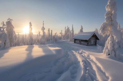 a cabin in the middle of a snowy forest