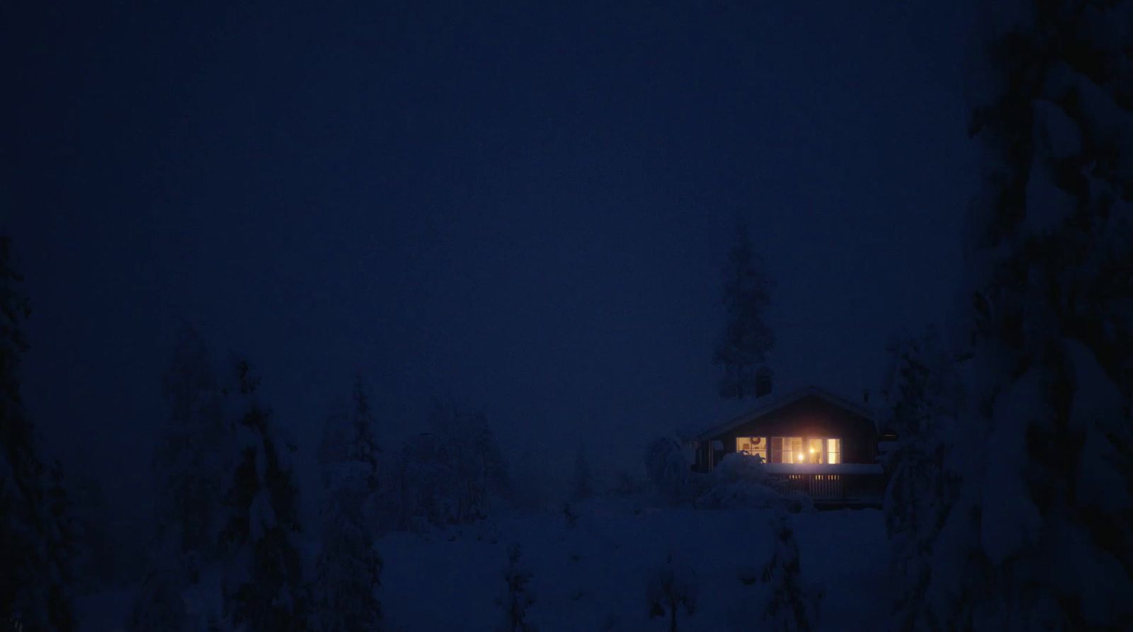 a cabin in the middle of a snowy forest at night