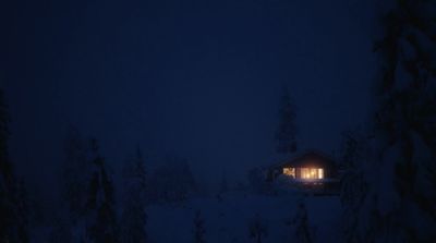 a cabin in the middle of a snowy forest at night