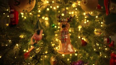 a christmas tree decorated with lights and ornaments